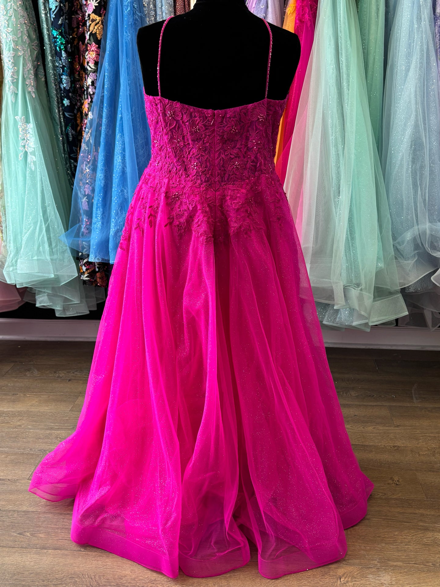 Size 22 Emmi's Elegance Fuschia Gown