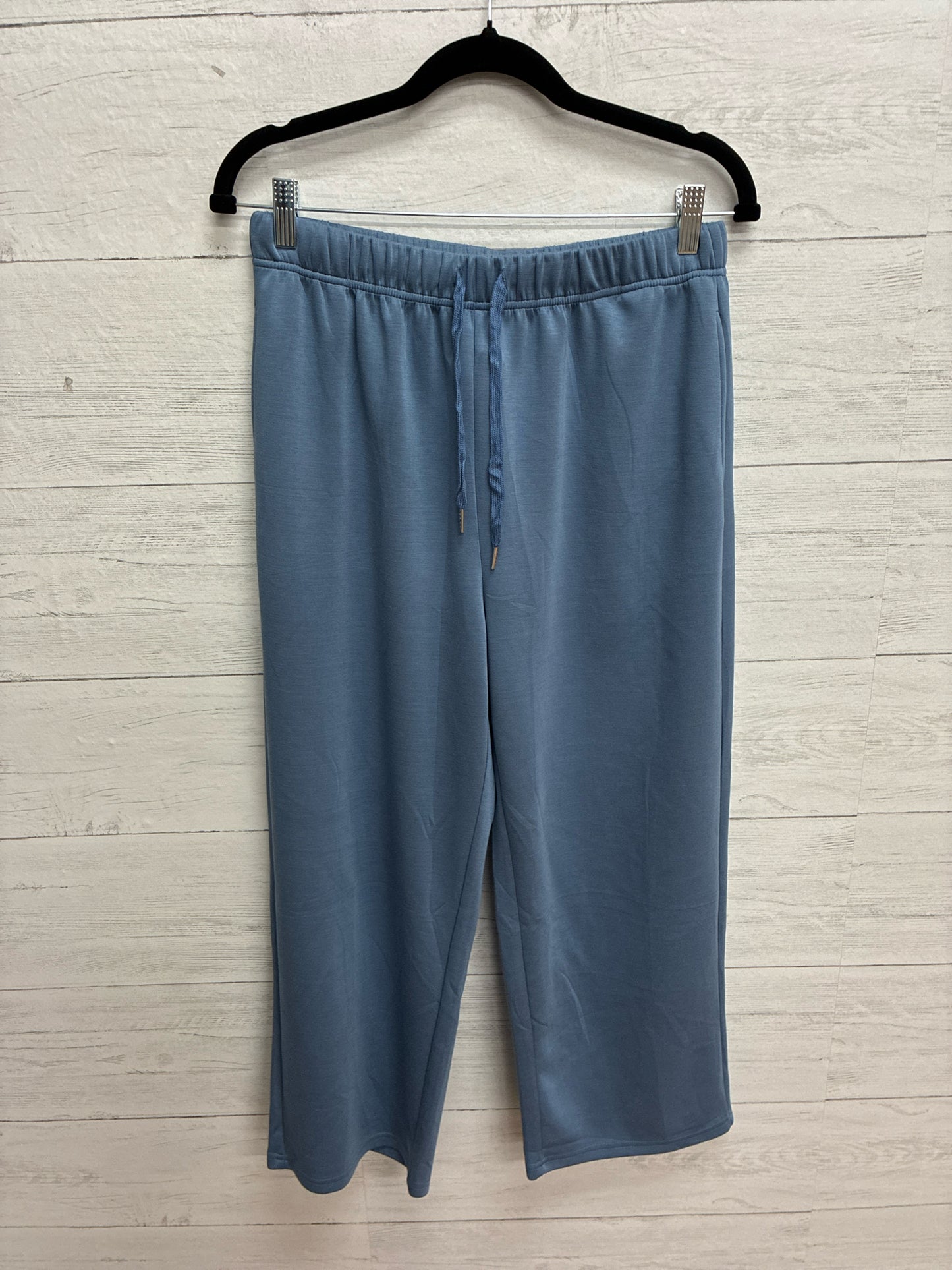 Size L WIHOLL Blue Womens Capri