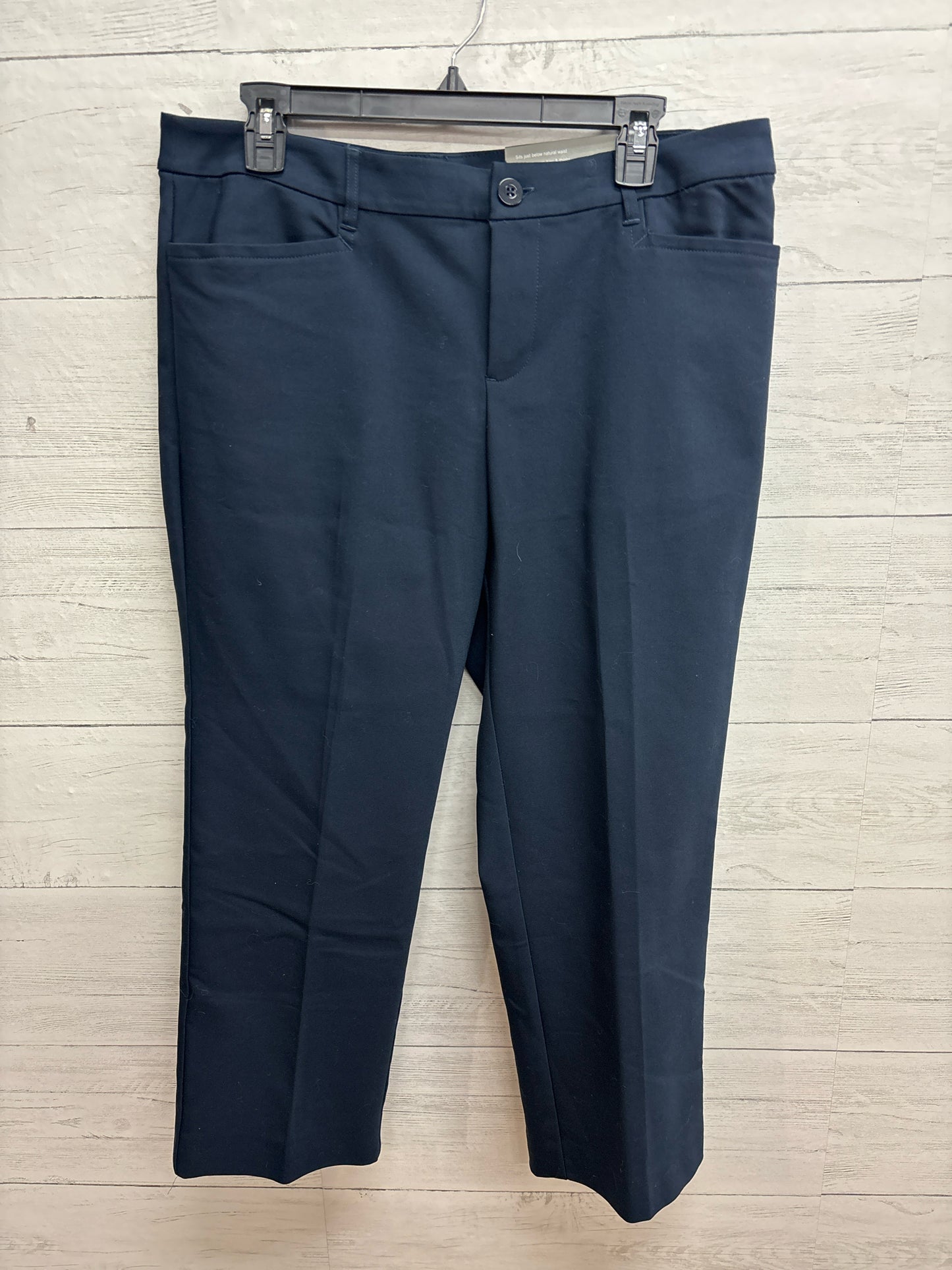 Size 12 Christopher & Banks Navy Womens Pants