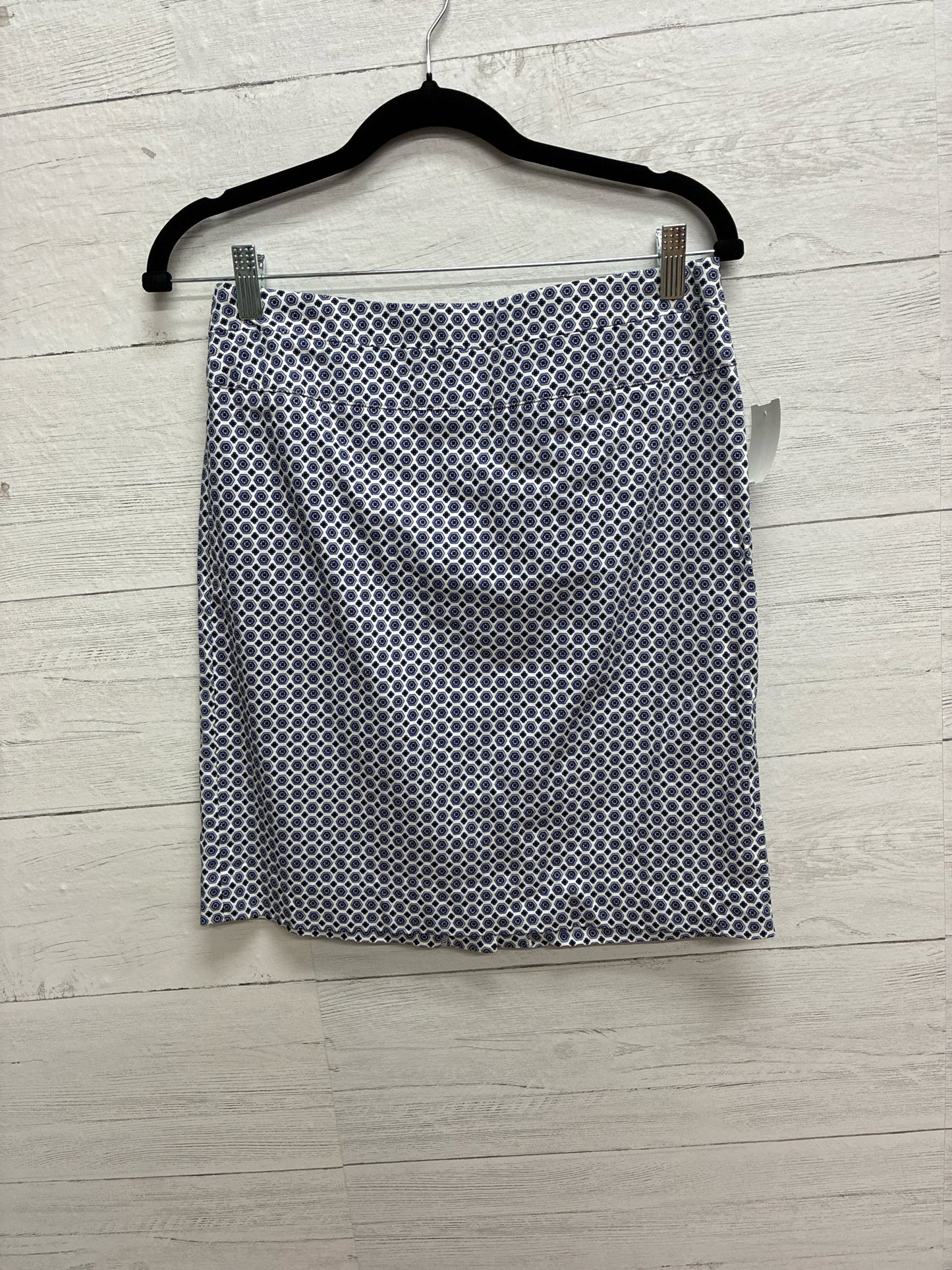 Size 4 Donna Ricco Blue/White Skirt