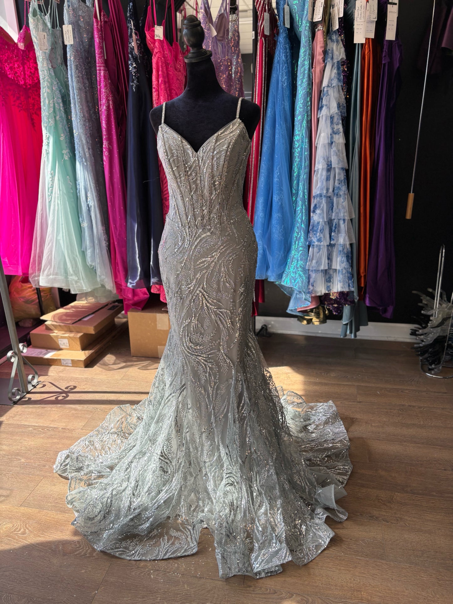 Size 8 Emmi's Elegance Silver GOWN
