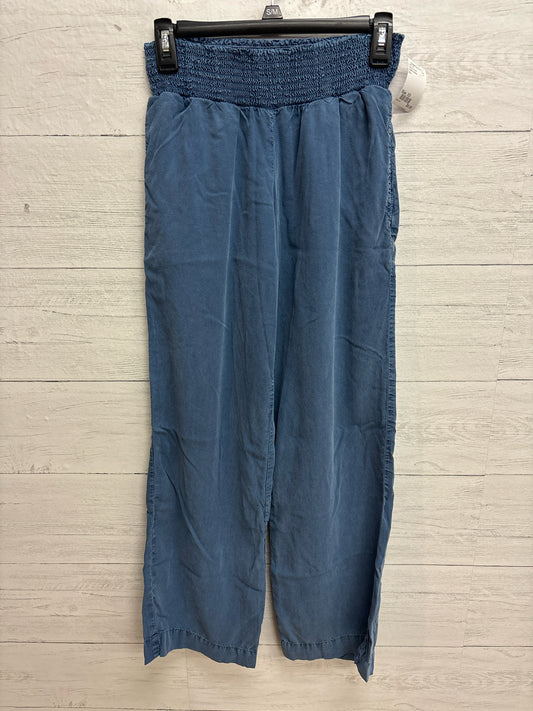 Size XS Cloth & Stone Blue Womens Pants